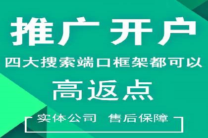 百度推广攻略：实操案例解读SEO优化之道